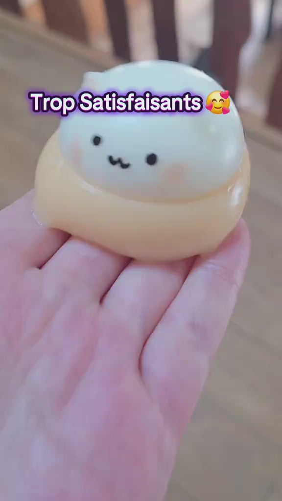 Squishy Mochi Chat Kawaii Anti-Stress