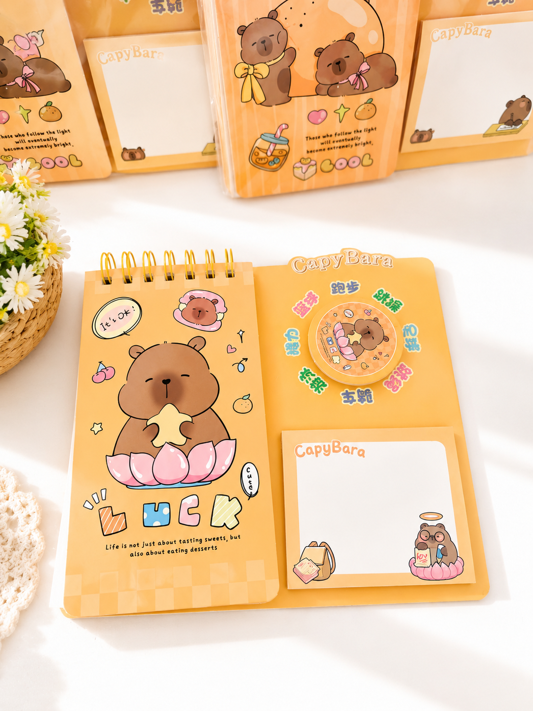 Bloc-notes 3 en 1 kawaii Capybara tenu en main pour montrer la taille – Mimisu
