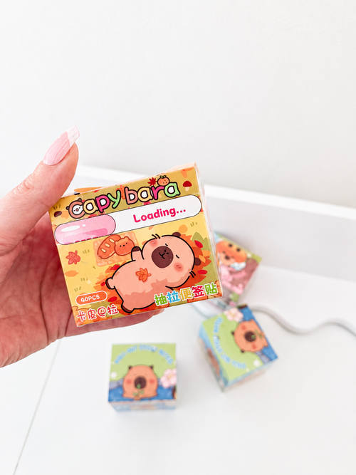 Capybara pull-out sticky notes kawaii boîte ouverte étiquettes dépliées – Mimisu

