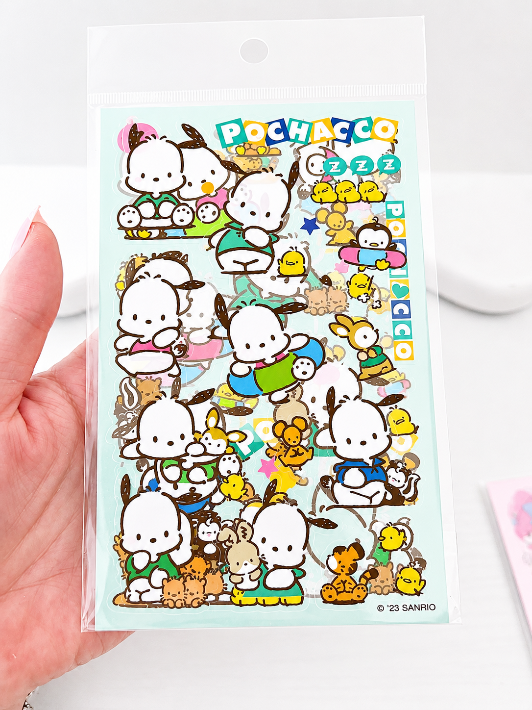 Stickers PET Sanrio kawaii tenus en main pour montrer la taille – Mimisu
