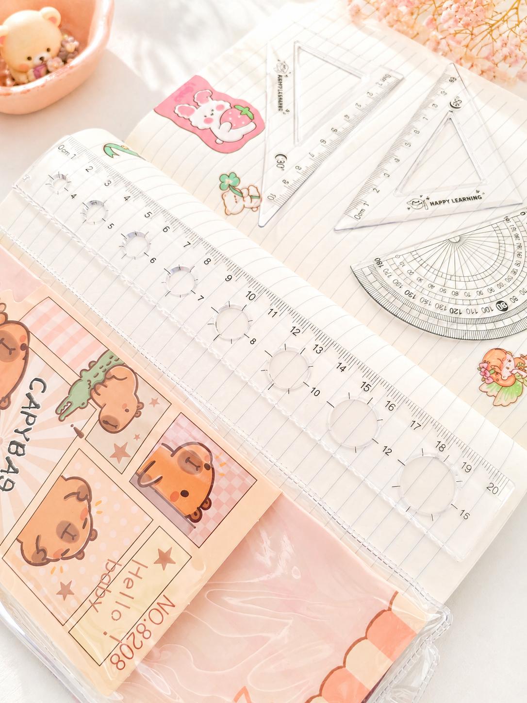 Set de règles kawaii Capybara vue d'ensemble toutes les règles – Mimisu
