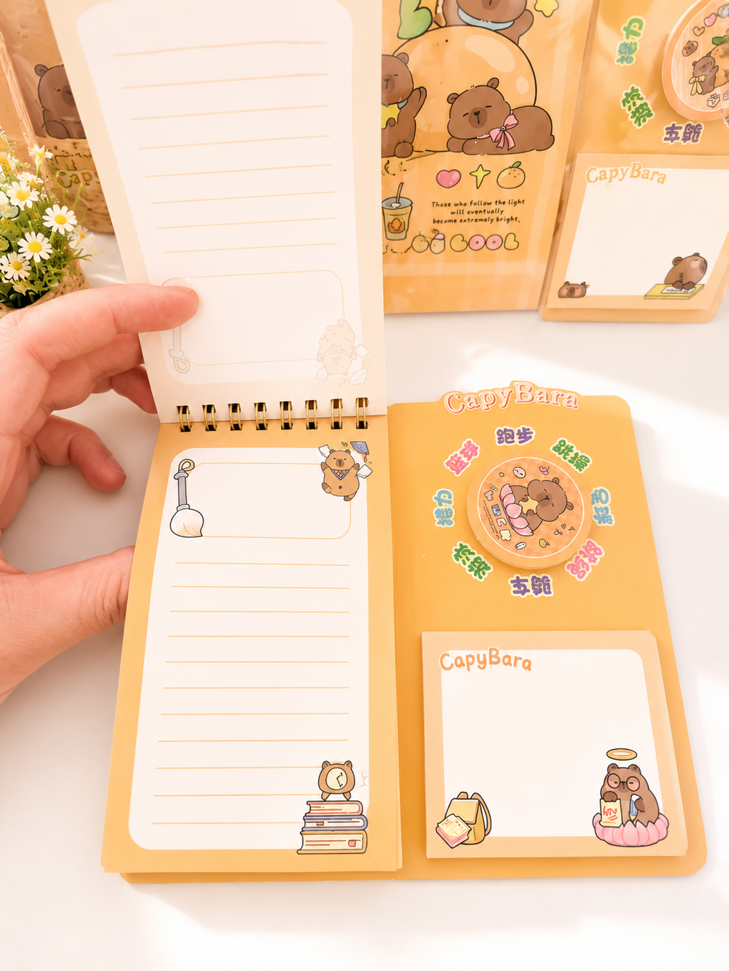 Coffret cylindrique kawaii Capybara édition premium posé sur un bureau pastel – Mimisu
